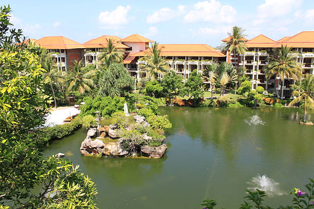 tropical hotel - luxury hotel palm tree lush foliage asia foto e immagini stock