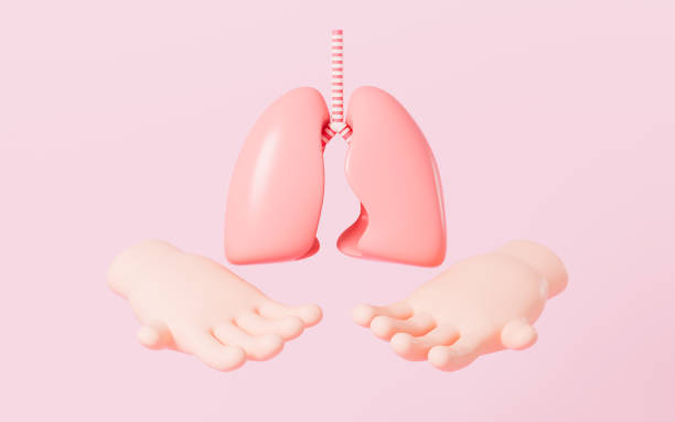 istock Human lungs in the pink background, 3d rendering. 1779347012