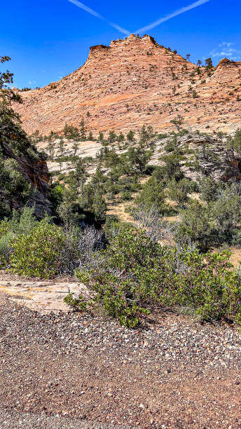 istock Zion National Park in Utah 1779360704