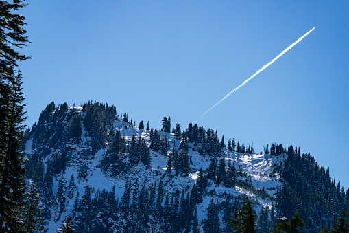 Sunlight peaks through frosty conifers near Mt. Rainier Washington