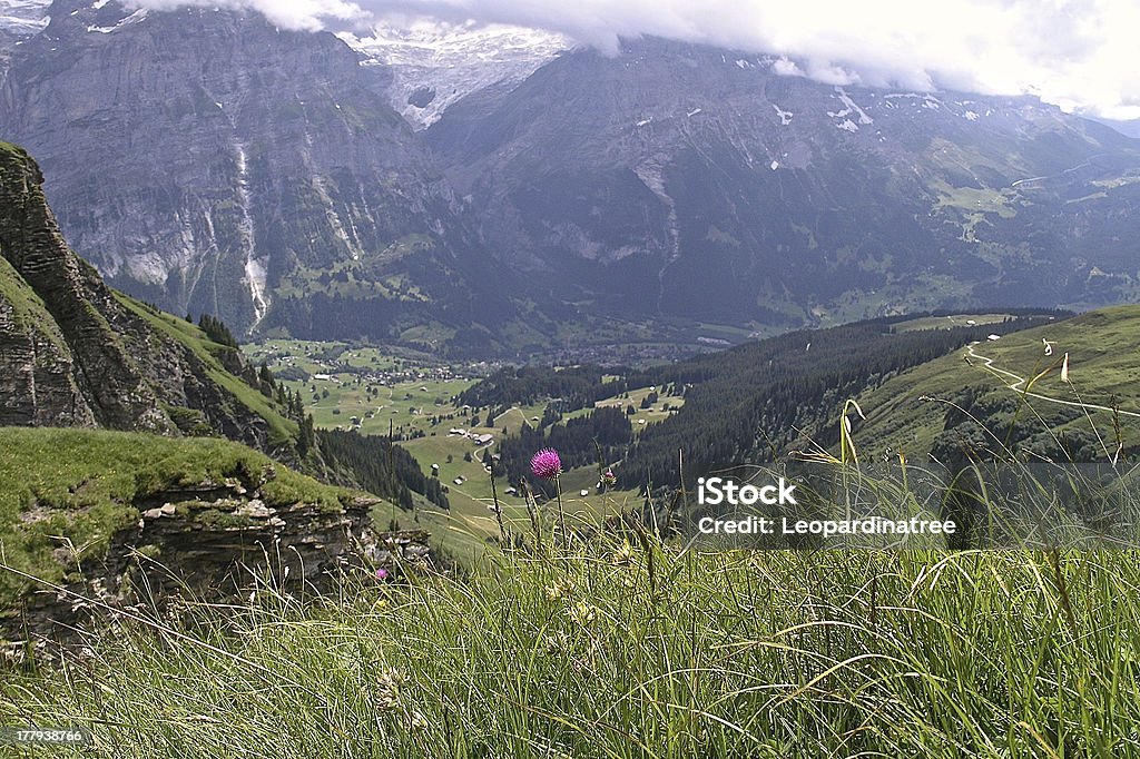 Grindelwald - Foto de stock de Aire libre libre de derechos