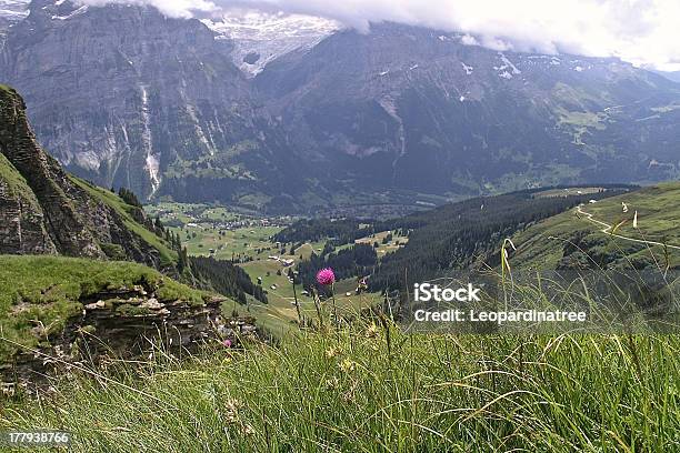 Grindelwald Foto de stock y más banco de imágenes de Aire libre - Aire libre, Belleza de la naturaleza, Cadena de montañas