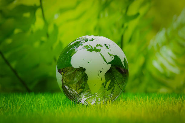 istock a transparent glass earth in the forest, 3d rendering 1779456788
