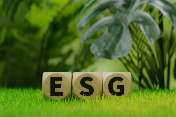 istock A text cube that reads ESG on the grass of the forest, 3d rendering 1779456792