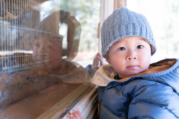 istock Window of Curiosity: Inquisitive Boy Peeks Through and Explores the World 1779494345