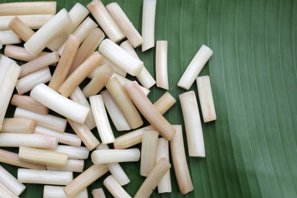 istock Fresh lotus rootlet on banana leaf 1779515220