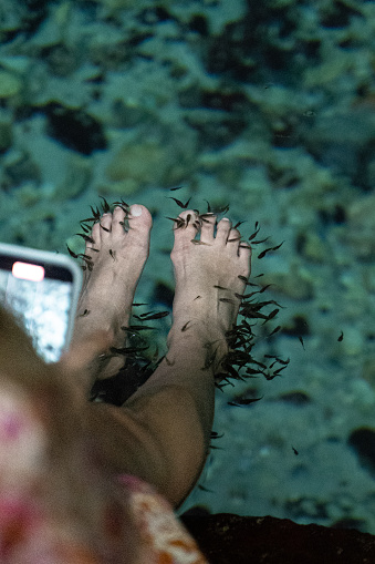 Close up view of beautiful feet in a fish pedicure and exfoliation in natural waters