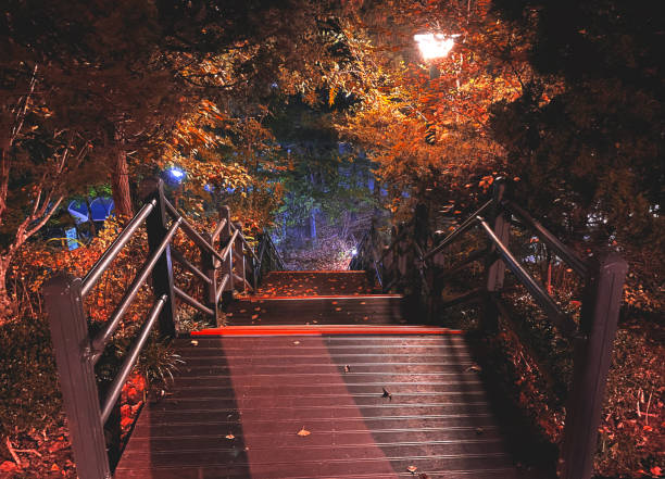 istock small bridge with autumn leaves 1779542901