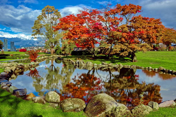 istock The late fall landscape in city park 1779550335