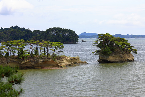 Matsushima Bay , beautiful islands covered with pine trees in Miyagi Prefecture, Japan