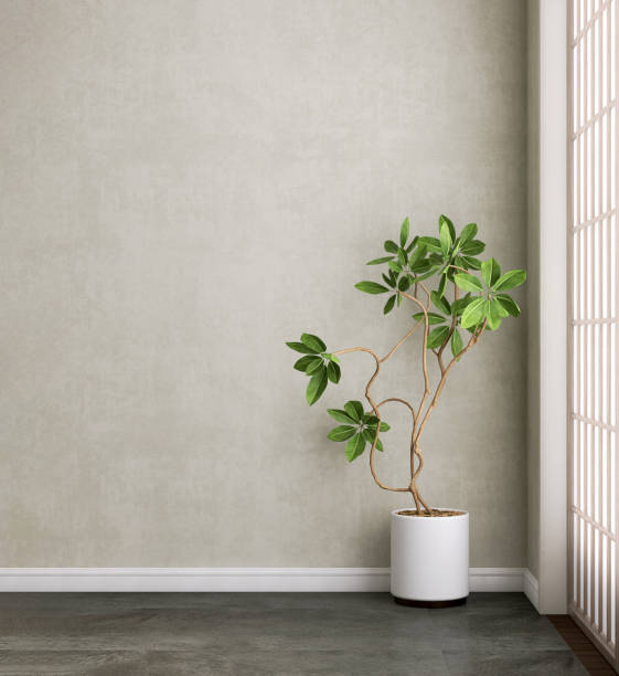 istock Modern, minimal empty room with green tropical tree in black pot, shoji partition in sunlight on gray wall, black tile floor 1779605071