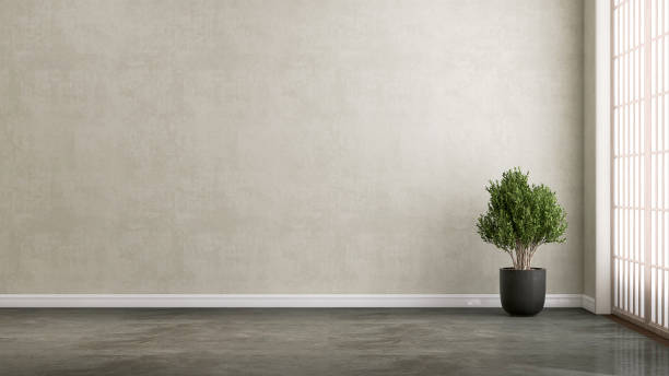 istock Modern, minimal empty room with green tropical tree in black pot, shoji partition in sunlight on gray wall, black tile floor 1779605083