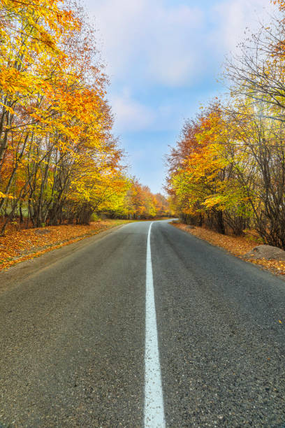 istock Road passing through an autumn forest in the mountains 1779615043