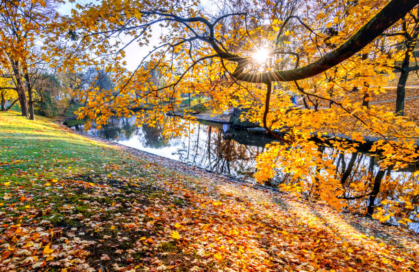 istock Autumn morning in old public park 1779618272