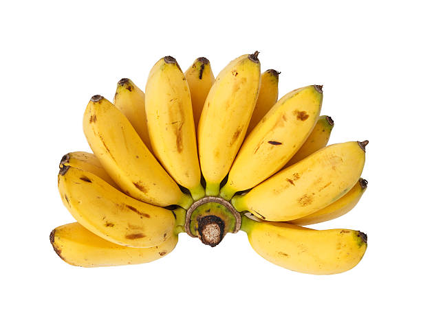 Bunch of baby banana stock photo