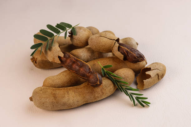 istock Buah Asam or Tamarind (Tamarindus) Fruit With Green Leaves. 1779627265