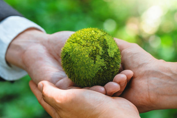 istock Environment Earth Day hands holding earth  environmentally sustainable Save Earth.  the Environment World Earth Day concept 1779640678