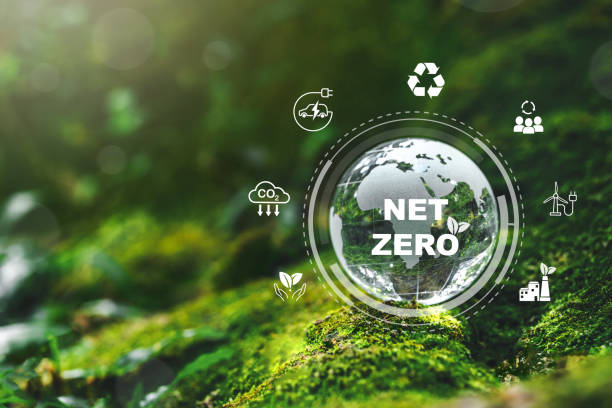 istock Crystal earth in forest Environment save the World Sustainable development goal (SDGs) Ideas for Sustainable development and green business based Global communication 1779641212
