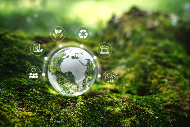 istock ESG concept ,Sustainable Crystal earth in forest development goal (SDGs) Ideas for Sustainable development and green business based Global communication network with Environment icon Environmental technology 1779641215