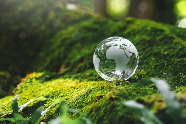 istock Crystal earth in forest Environment save the World  earth day and conservation Concept. 1779641233