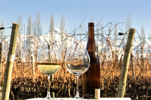 очки и бутылка белого вина - wine cork antioxidant wineglass autumn стоковые фото и изображения