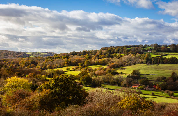 istock Autumn high weald countryside 1779682105