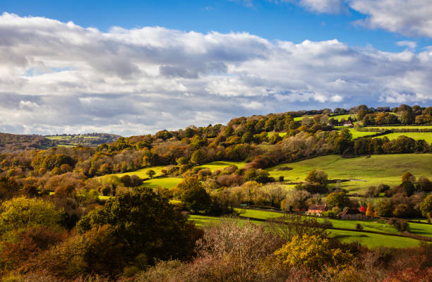 Autumn high weald countryside
