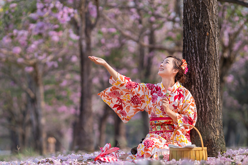 Japanese woman in traditional kimono dress holding the sweet hanami dango dessert while sitting in park at cherry blossom tree during spring sakura festival