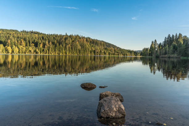 windgfaellweiher in the black forest near schluchsee, lenzkirch, baden-wuerttemberg, germany - germany reservoir water tree imagens e fotografias de stock