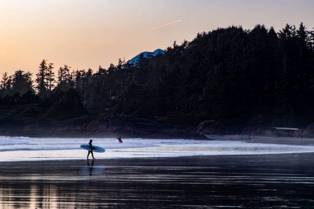istock Two young adults with surfboards walking along a tropical beach at sunset 1779720037