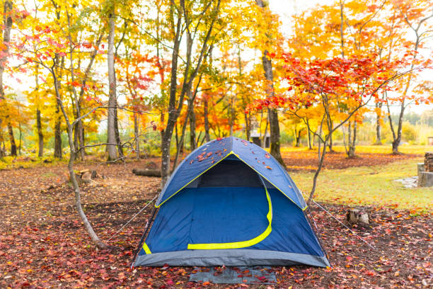 istock Camping amongst colorful autumn fall maple leaves 1779722949