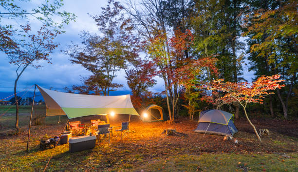 色とりどりの紅葉に囲まれた夜のキャンプ