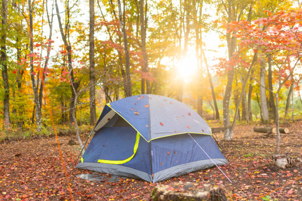 istock Fall camping with sun shining through colorful autumn trees 1779723493