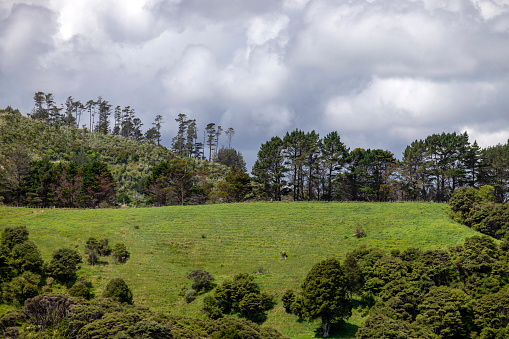 New Zealand countryside view in North Island