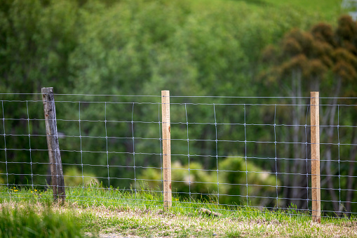 Fences at agricultural field