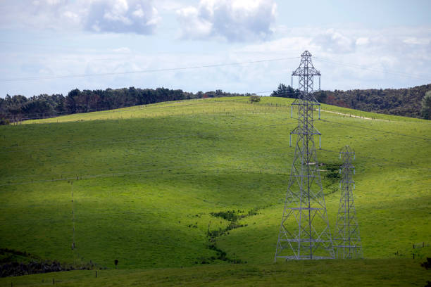 High voltage power lines in rural landscape