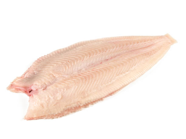 istock Sole without Skin - Flatfish on white Background isolated on white Background 1779736239