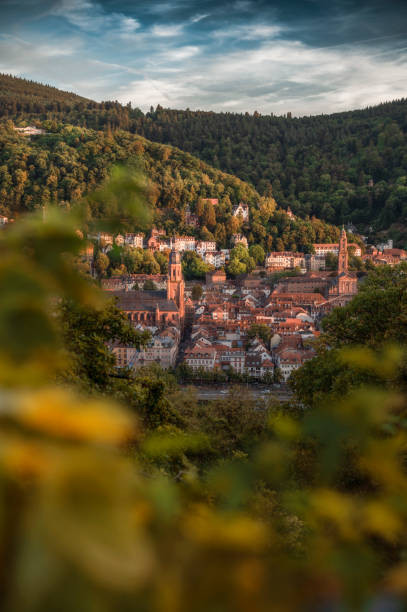 istock Heidelberg City in Germany 1779740178