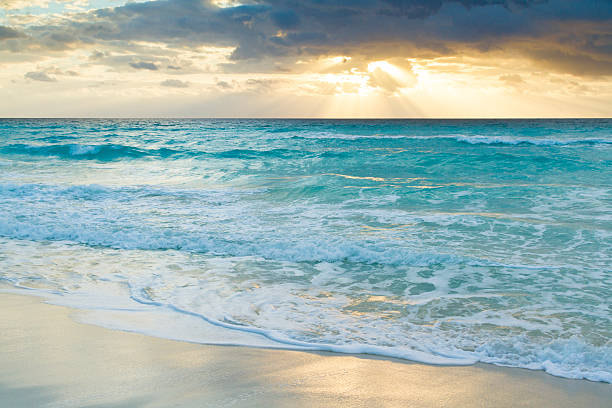 istock Beach of the Caribbean Sea 177976247
