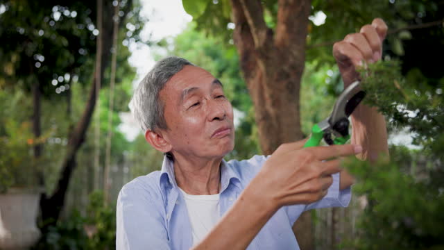 Asian senior man enjoy takes care outdoor plants garden at home