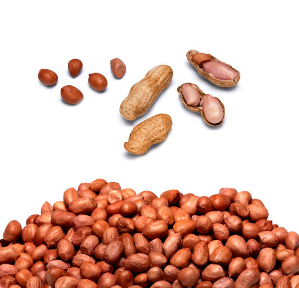 Organic Groundnuts shelled and in a nutshell, Big peanut set isolated on a white background