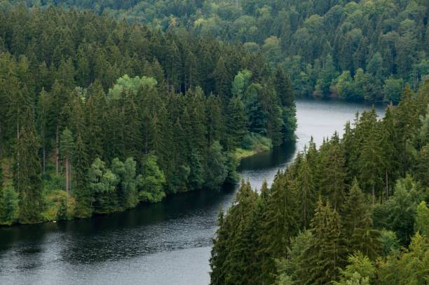 istock River Saale and forest in the Thuringian Slate Hills, Germany 1779799523