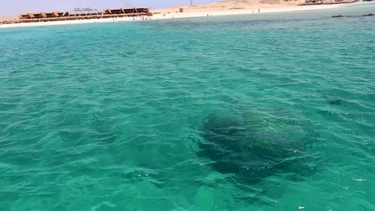 Idyllic island, sandy beach and crystal clear Red Sea