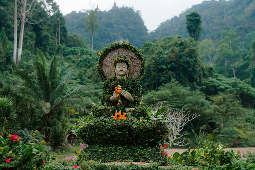 Sculpture of Buddha covered in greenery in the middle of the jungles in Thailand