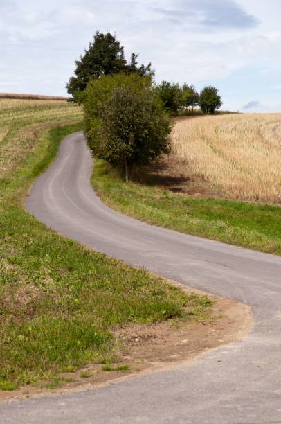 istock Path through harvested cropland, in the Thuringian Slate Hills, Germany 1779810388