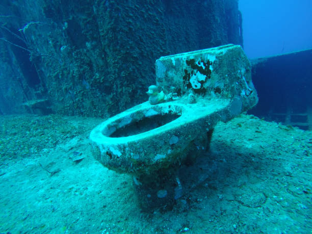 Just a toilet on a wreck, Utila, Honduras Just a toilet on a wreck, Utila, Honduras titanic room stock pictures, royalty-free photos & images