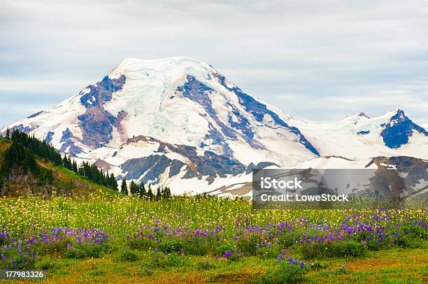 Photo libre de droit de Mt Baker Washington Étatsunis banque d'images et plus d'images libres de droit de Beauté de la nature - Beauté de la nature, Chaîne de montagnes, Chaîne des Cascades