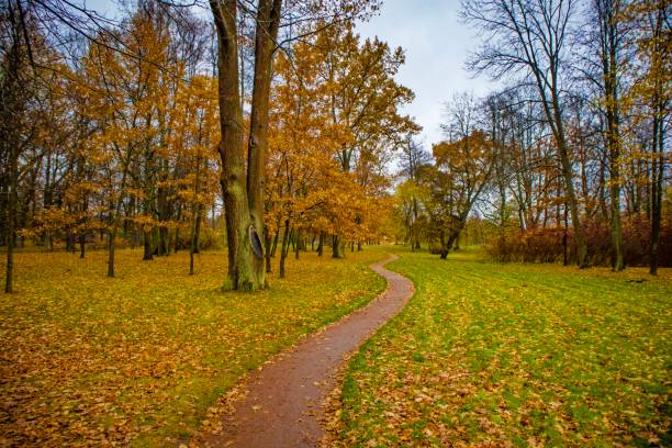 istock Autumn in the park 1779841241