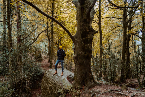 istock Man in winter outerwear near big tree 1779851151