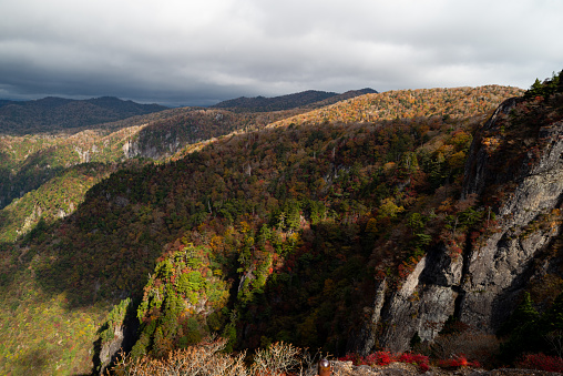 大台ヶ原　奈良県